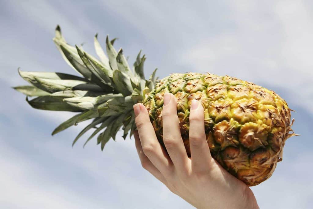 Ananas