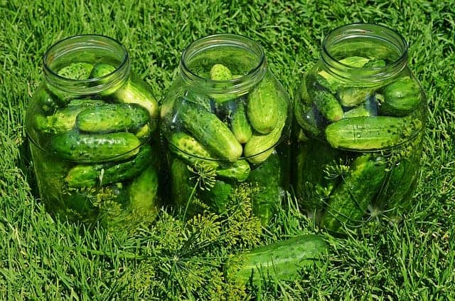 komkommers kuilvoer