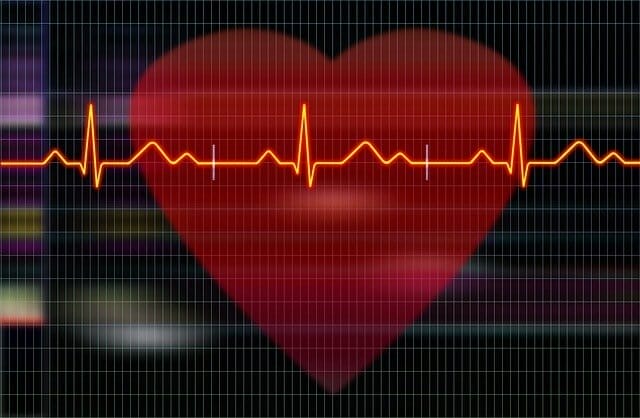  grafiek met het hart en elektrocardiografische opnames