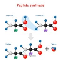  synthese van peptiden